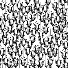 Tulips pattern N2