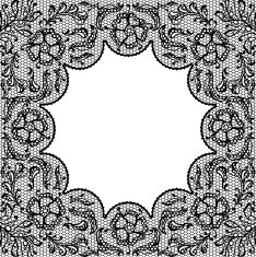 Vintage lace frame ornamental flowers Vector texture N4