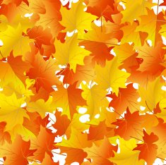 maples leaves seamless