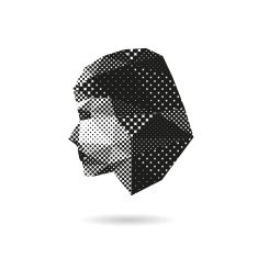 Woman face silhouette vector illustration N2