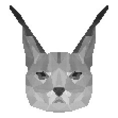 abstract monochrome lynx portrait of circles isolated on white background