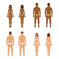 vector young woman and guy in underwear Body templates N4