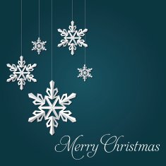 Festive greeting card N2