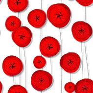 Red poppies pattern