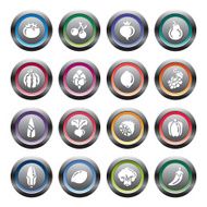 Fruit and Vegetables Icons N6
