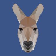 polygonal kangaroo abstract geometric background