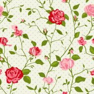 Shabby chic rose background N13