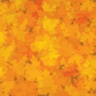 Autumn abstract background with leaf N21