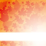 Autumn abstract background with leaf N22