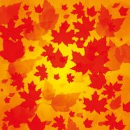 Autumn abstract background with leaf N23