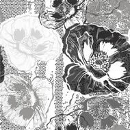 Monochrome seamless pattern with poppies Hand-drawn floral background N3