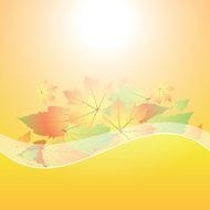 Autumn abstract background with leaf N24