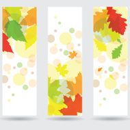 Autumn abstract banner set with leaf