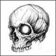 Skull N28