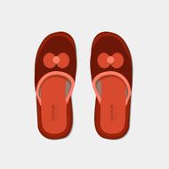 Vector modern flippers on gray N2
