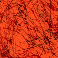 abstract color line pattern with red background