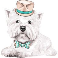 vector dog West Highland White Terrier breed