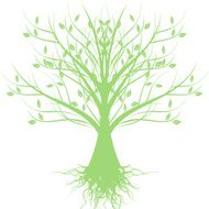 art tree N53