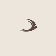 Swallow bird abstract vector logo design template N3
