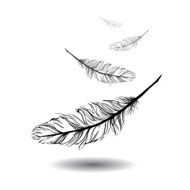 flying feathers with white background EPS 10
