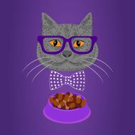 Hipster Cat N8