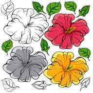 Hibiscus Flower Vector N5