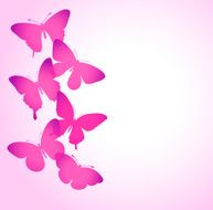 background with a border of butterflies flying N3