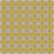 Checked seamless pattern N34