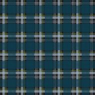 Checked seamless pattern N39