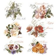 Collection of vector realistic flowers in watercolor style N2