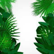 Tropical leaves Floral design background N2