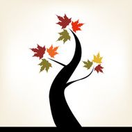 Autumn Tree N22