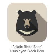 Asiatic black bear face flat icon design Animal icons series