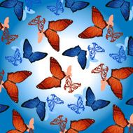 Butterflies flying N3