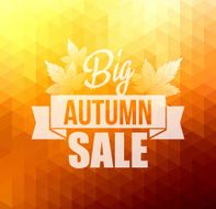 Autumn background with leaves N28