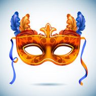 Carnival mask with feathers vector illustrations N10