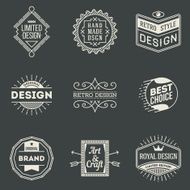 Retro design insignias logotypes set 5 Vector vintage elements