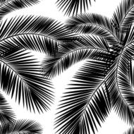 Seamless color palm leaves pattern Flat style Black and white