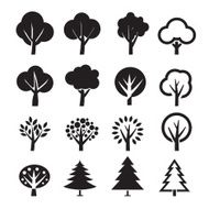 Set of vector tree N2