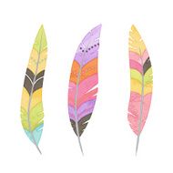 Vector Set of Watercolor Style Feathers N3