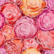Seamless pattern with pink roses N4