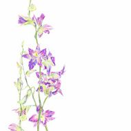 Background with decorative flowers N2