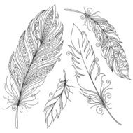 Vector Peerless Decorative Feather N13