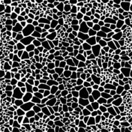 Giraffe fur pattern