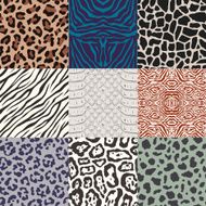 seamless animal skin pattern set