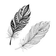 Vector Peerless Decorative Feather N15