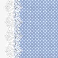 lace N17