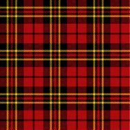 Seamless tartan pattern N38