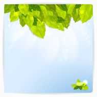 Vector background with stylish composition of green leaves