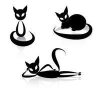 Black Cat N13